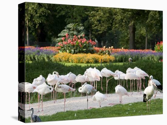 Wilhelma Zoo and Botanical Gardens, Stuttgart, Baden Wurttemberg, Germany-Yadid Levy-Stretched Canvas