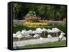 Wilhelma Zoo and Botanical Gardens, Stuttgart, Baden Wurttemberg, Germany-Yadid Levy-Framed Stretched Canvas