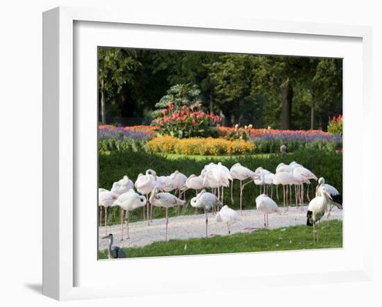 Wilhelma Zoo and Botanical Gardens, Stuttgart, Baden Wurttemberg, Germany-Yadid Levy-Framed Photographic Print