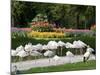 Wilhelma Zoo and Botanical Gardens, Stuttgart, Baden Wurttemberg, Germany-Yadid Levy-Mounted Photographic Print