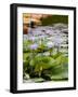 Wilhelma Zoo and Botanical Gardens, Stuttgart, Baden Wurttemberg, Germany-Yadid Levy-Framed Photographic Print