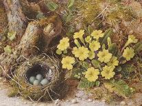 Still Life with a Bird's Nest and Primroses on a Mossy Bank-Wiliam B. Hough-Stretched Canvas