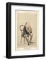 Wilkie Collins English Novelist-null-Framed Photographic Print