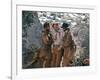 Will Penny by Tom Gries with Charlton Heston, 1967 (photo)-null-Framed Photo