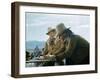 Will Penny by Tom Gries with Charlton Heston, 1967 (photo)-null-Framed Photo