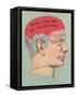 Will She Be My Valentine, Phrenology-null-Framed Stretched Canvas