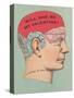 Will She Be My Valentine, Phrenology-null-Stretched Canvas