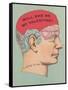 Will She Be My Valentine, Phrenology-null-Framed Stretched Canvas