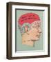 Will She Be My Valentine, Phrenology-null-Framed Art Print