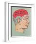 Will She Be My Valentine, Phrenology-null-Framed Art Print