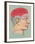 Will She Be My Valentine, Phrenology-null-Framed Art Print