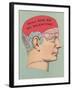 Will She Be My Valentine, Phrenology-null-Framed Art Print