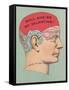 Will She Be My Valentine, Phrenology-null-Framed Stretched Canvas