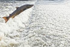 View of Floodwater Outside the Severn View Hotel-Will Watson-Laminated Photographic Print