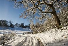 Snowy scene from Lower Brockhampton, Herefordshire, England, UK, December.-Will Watson-Photographic Print