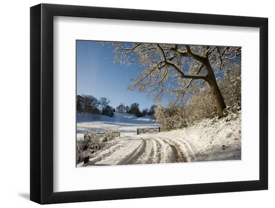 Premium Photographic Print, , large