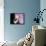 Will Young-null-Framed Stretched Canvas displayed on a wall