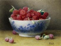 A Bowl of Raspberries-Willam B. Hough-Giclee Print