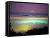 Willamette River Valley in a Fog Cover, Portland, Oregon, USA-Janis Miglavs-Framed Stretched Canvas