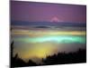 Willamette River Valley in a Fog Cover, Portland, Oregon, USA-Janis Miglavs-Mounted Photographic Print