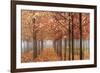 Willamette Valley Maples-Don Paulson-Framed Giclee Print