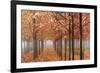 Willamette Valley Maples-Don Paulson-Framed Giclee Print