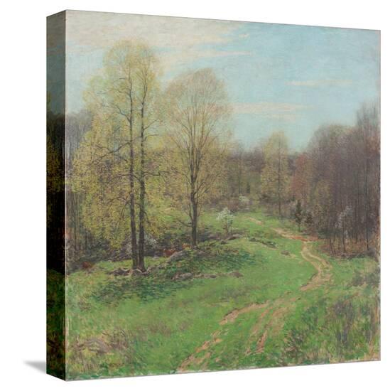 Stretched Canvas Print, , large