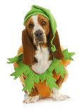 Dog Dressed Up for Halloween - Basset Hound Wearing Pumpkin Costume Sitting-Willee Cole-Photographic Print