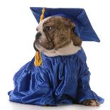 Pet Graduation - English Bulldog Wearing Graduation Cap And Red Tie-Willee Cole-Photographic Print