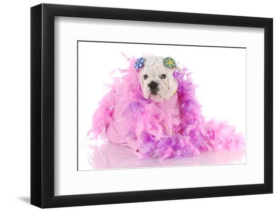 Photographic Print, , large