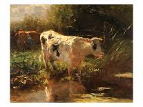 Cattle Grazing at the Water's Edge, C.1880-90-Willem Maris-Giclee Print