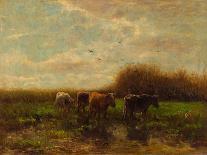 Cow beside a Ditch, c. 1885-1895-Willem Maris-Art Print