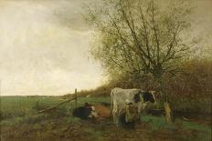 Cow beside a Ditch, c. 1885-1895-Willem Maris-Art Print
