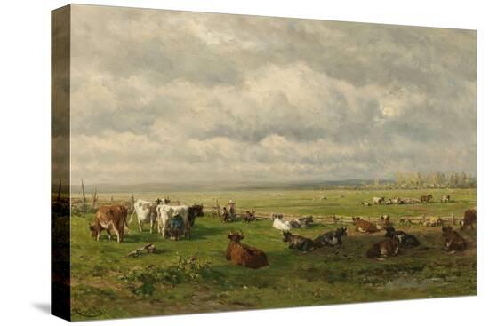Stretched Canvas Print, , large