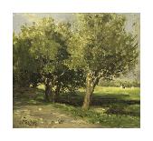 Willow Trees-Willem Roelofs-Premium Giclee Print