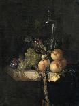 Raisins et pêches-Willem Van Aelst-Giclee Print