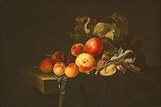 A Vase of Flowers, 1663-Willem van Aelst-Giclee Print