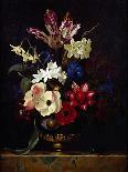 Still Life with a Dead Jay-Willem van Aelst-Giclee Print