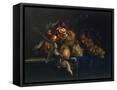 Framed Canvas