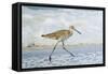 Willet-William Sutton-Framed Stretched Canvas