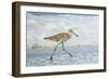 Willet-William Sutton-Framed Photographic Print