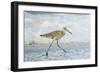 Willet-William Sutton-Framed Photographic Print