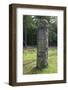 Willett memorial, Petts Wood, Kent, 2005-Peter Thompson-Framed Photographic Print