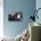 Willette Photo-null-Stretched Canvas displayed on a wall