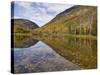 Willey Pond, Crawford Notch State Park, White Mountains, New Hampshire, New England, USA-Neale Clarke-Stretched Canvas