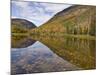 Willey Pond, Crawford Notch State Park, White Mountains, New Hampshire, New England, USA-Neale Clarke-Mounted Photographic Print