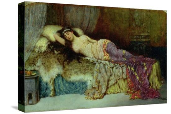 Stretched Canvas Print, , large