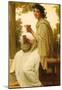 William-Adolphe Bouguereau Bacchante Art Print Poster-null-Mounted Poster