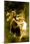 William-Adolphe Bouguereau Nymphs and Satyr Art Print Poster-null-Mounted Poster