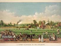 The Cotton Wagon-William Aiken Walker-Giclee Print